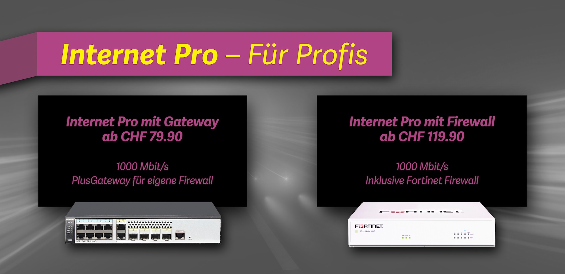 Internet Pro: Internet für Profis, KMUs und Grossfirmen